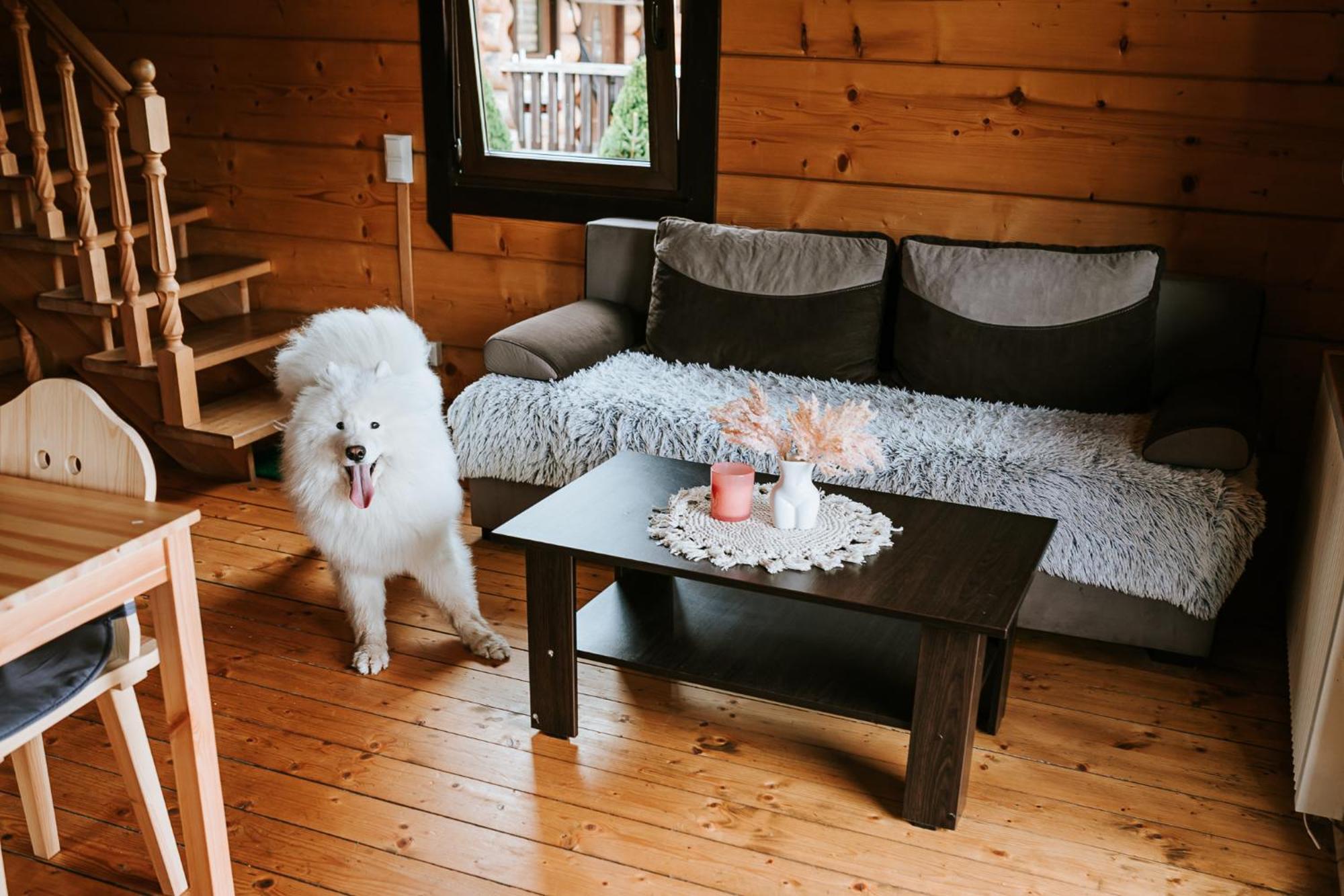 Chatki Góralskie Rabka Zewnętrze zdjęcie