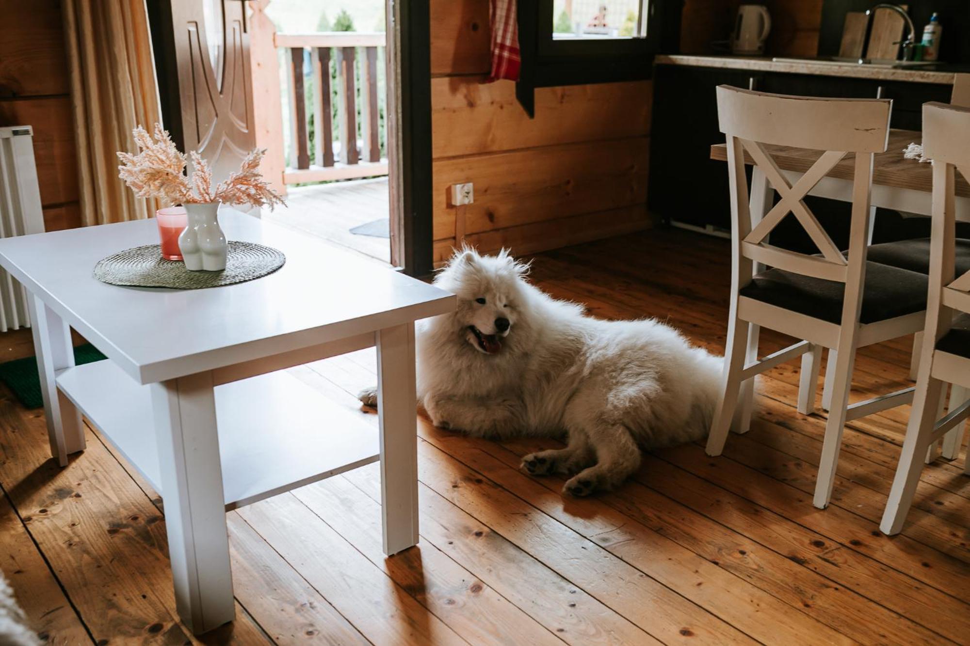 Willa Chatki Góralskie Rabka Zewnętrze zdjęcie